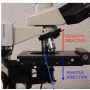 autofocus_microscope_limits.png