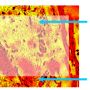 autofocus_video.png